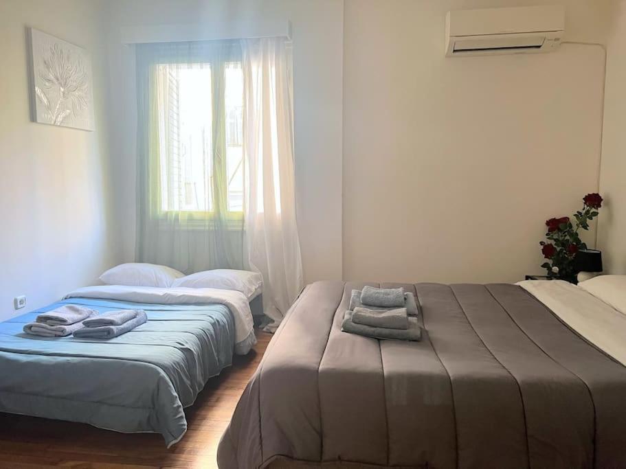 Amazing 3Bdr Apt With Unique Roof Garden In Plaka Atenas Exterior foto