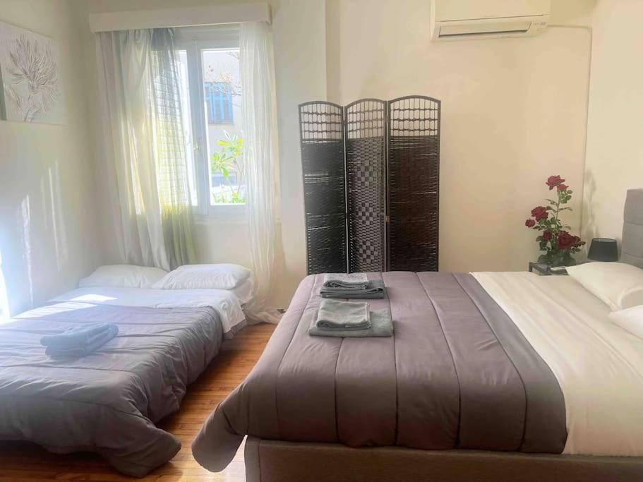Amazing 3Bdr Apt With Unique Roof Garden In Plaka Atenas Exterior foto